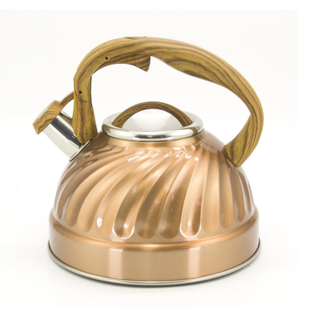 IT-CP1035 Economic Kettle Camping Farbmalerei Pfeifkessel Teekessel