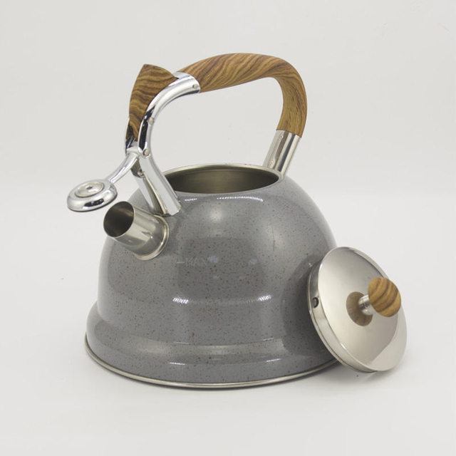 Farbmalerei Edelstahl pfeifender Kaffee-Tee-Wasserkocher