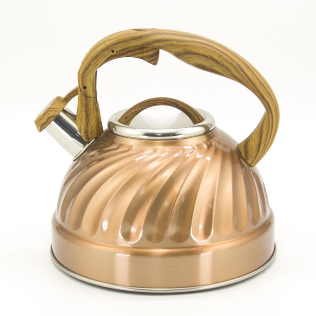 IT-CP1035 Economic Kettle Camping Farbmalerei Pfeifkessel Teekessel